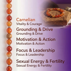Carnelian & Olive Wood Bracelet | 8MM Natural Stone Healing Crystal Bracelet for Vitality, Courage & Motivation