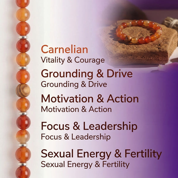 Carnelian & Olive Wood Bracelet | 8MM Natural Stone Healing Crystal Bracelet for Vitality, Courage & Motivation